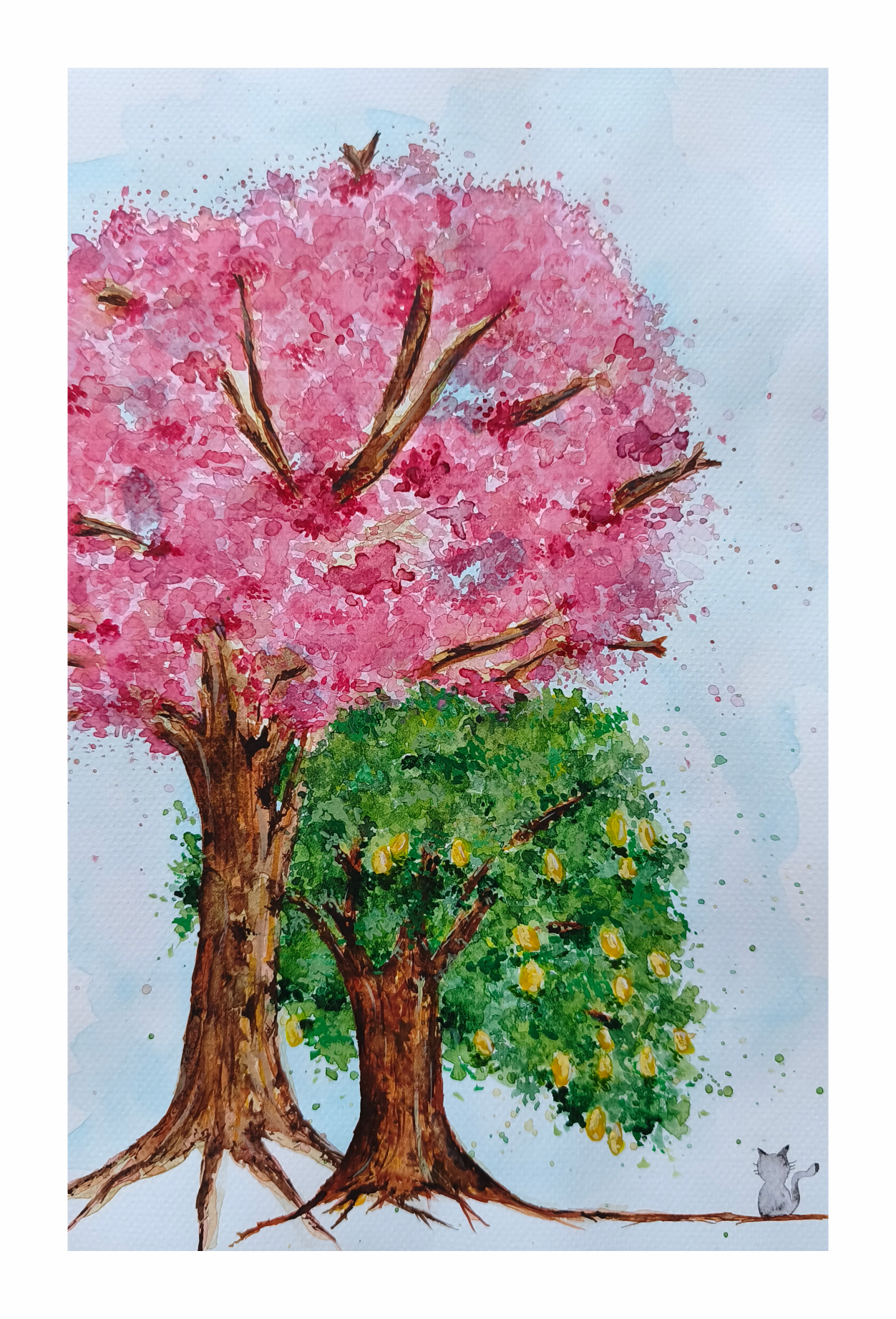Mailclub Mensal